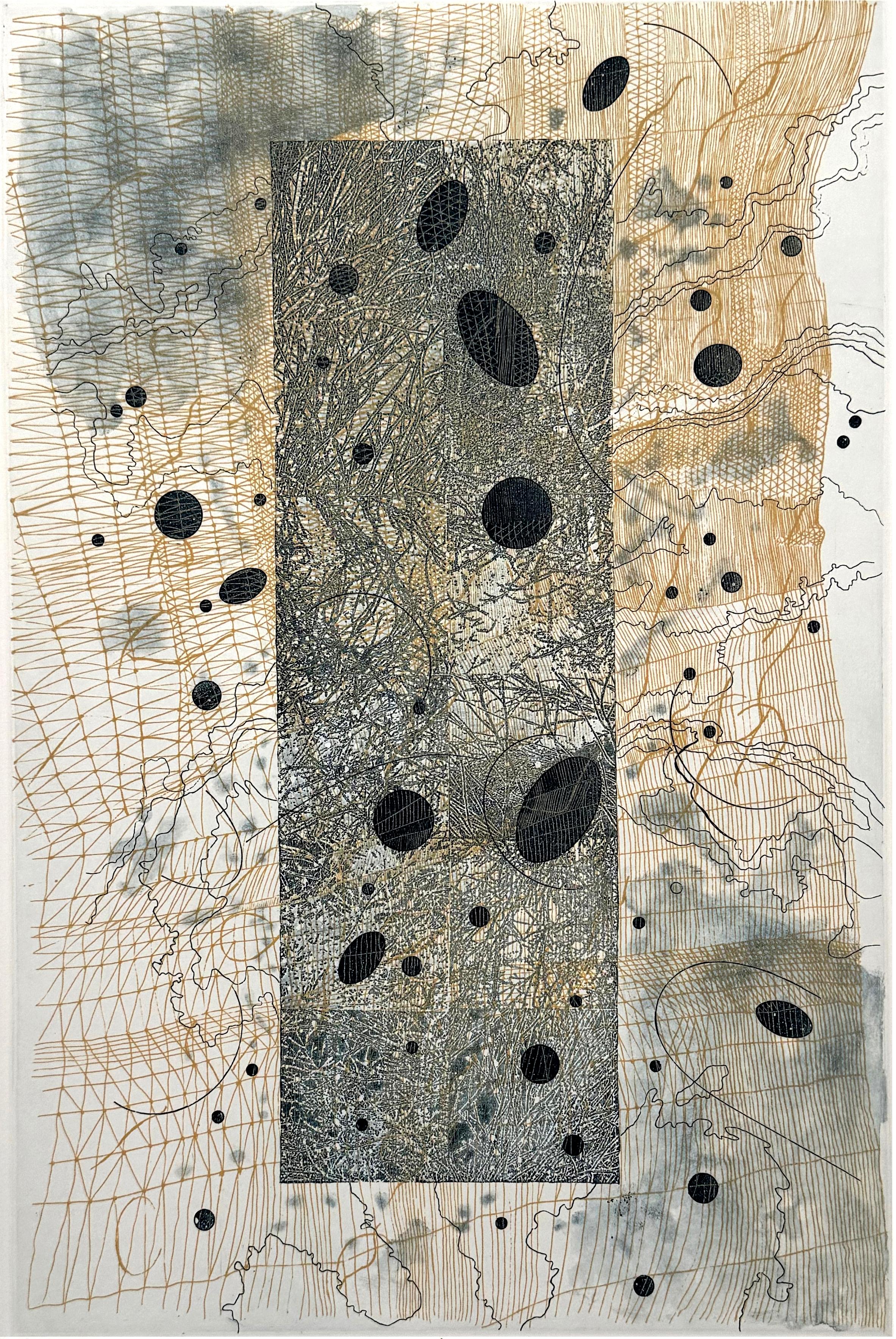 Medium: etching and aquatint
Image size: 18 × 11.875
Edition: 10
Year: 2021

Abstracted image with references totopographical maps or satellite imagery.

Rosalyn Richards has been a member of the Bucknell University art faculty since 1982. Images