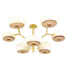 Rose Ceiling Light by Form A
