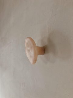 Organic Form, Rose Pink Fiberglass Hook by kar