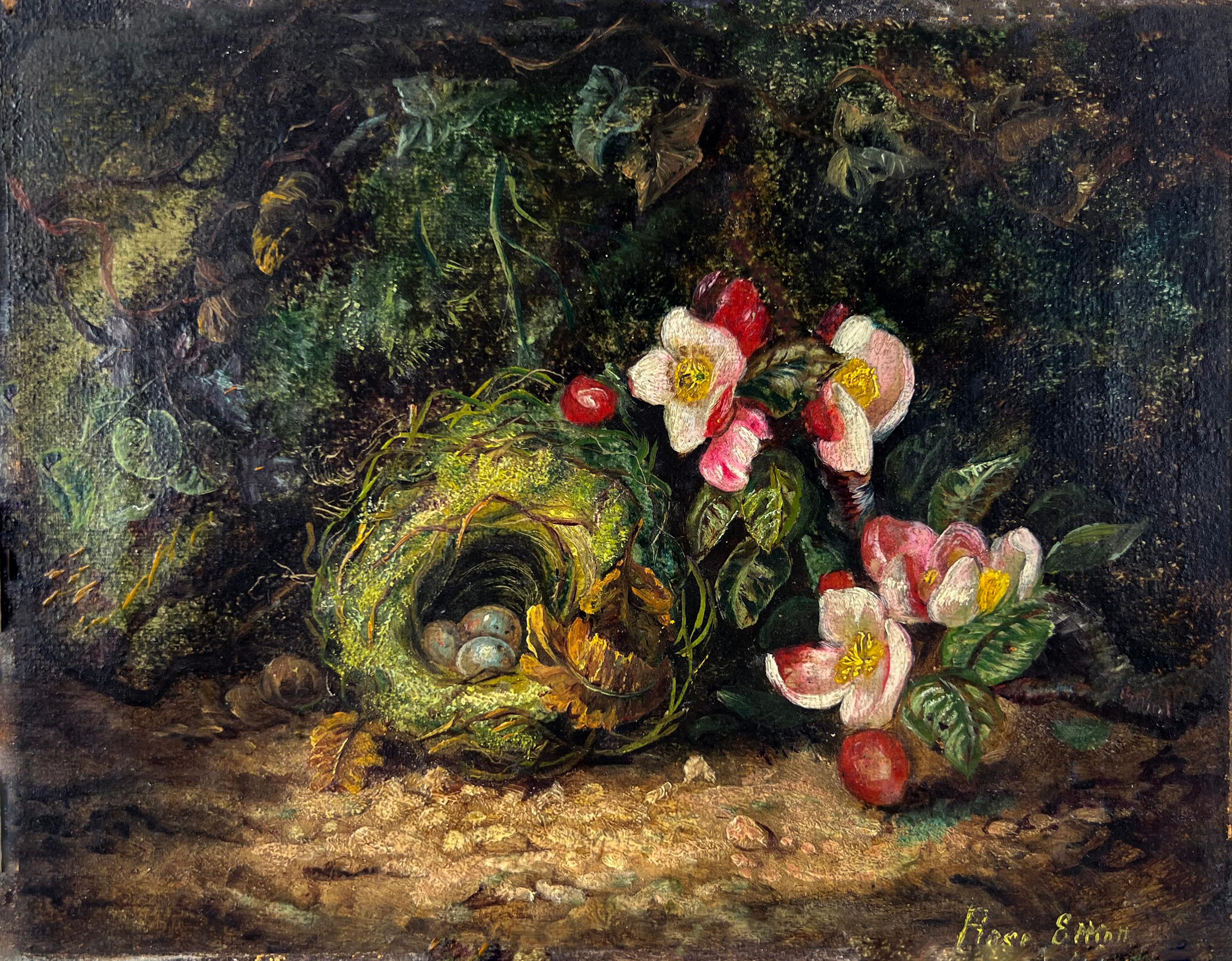 Birds Nest and Apple Blossoms Oil on Linen Gump's S.F. Store 1900 by Rose Elliot
Very well executed oil painting on linen after a painting by Oliver Clare (1893) by San Francisco painter Rose Elliot (American, 19th/20th C). Detailed boughs and