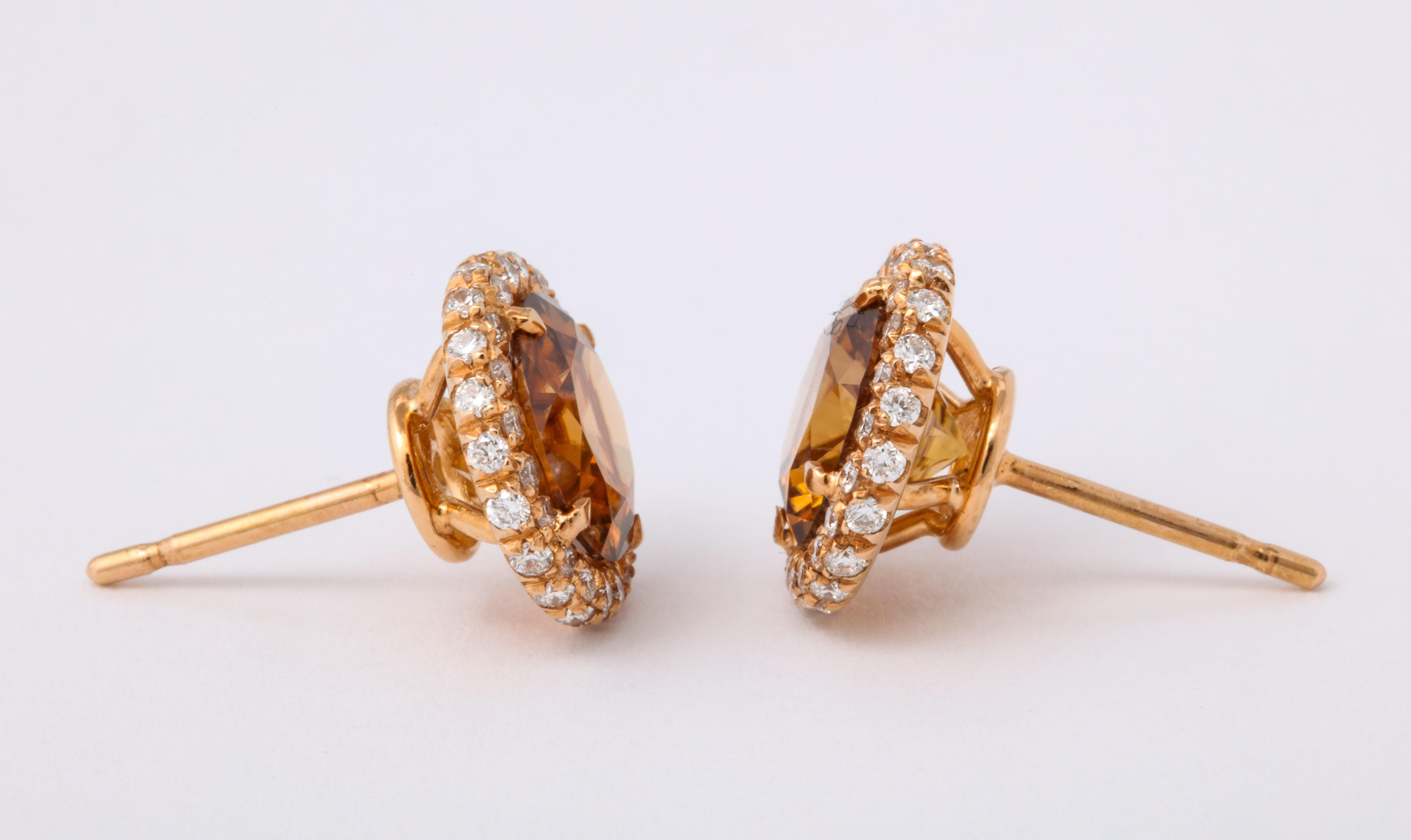 Women's or Men's Rose Gold Brown Zircon Diamond Stud Earrings