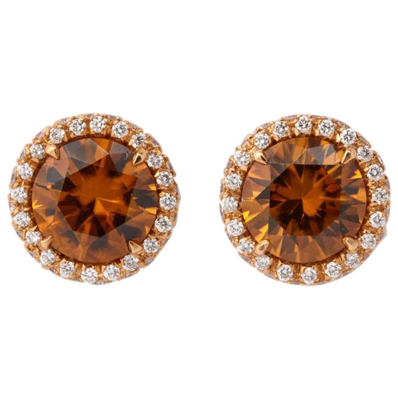 Rose Gold Brown Zircon Diamond Stud Earrings
