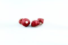 Rose Gold Strawberry Shell Gold Cufflinks Pearl