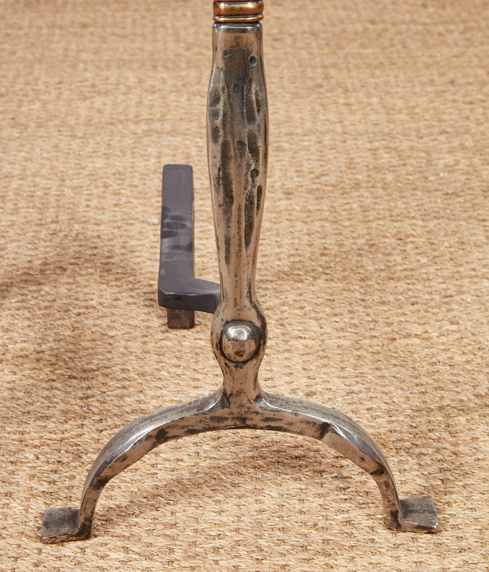 Mid-20th Century Rose Head Brass and Steel Andirons For Sale