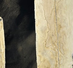 ABSTRACT Artiste contemporain French Rose Madone New Artwork forms earth colors