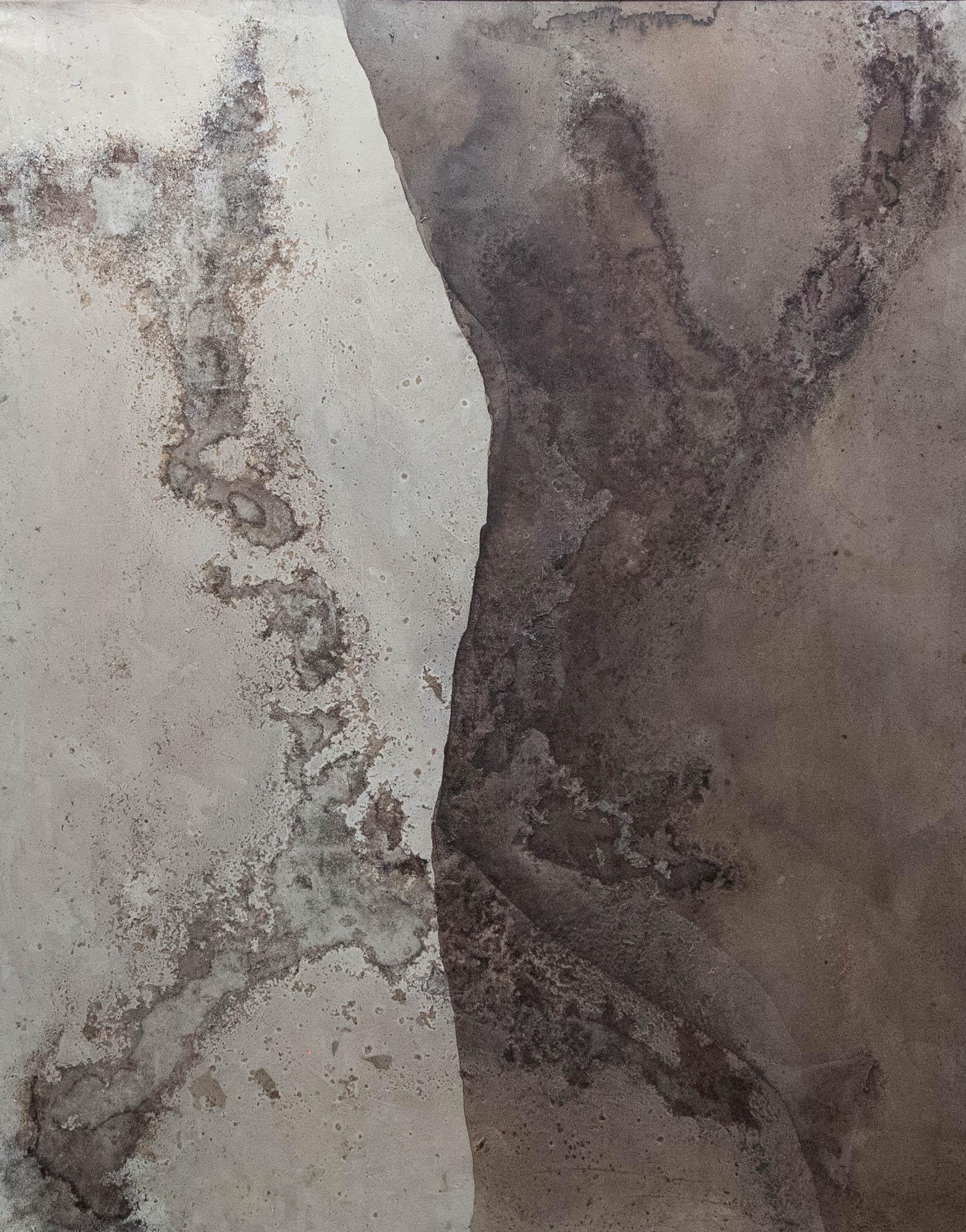 ABSTRACT Artista contemporaneo francese Rose Madone Nuova opera d'arte Nature colori della terra in vendita 1