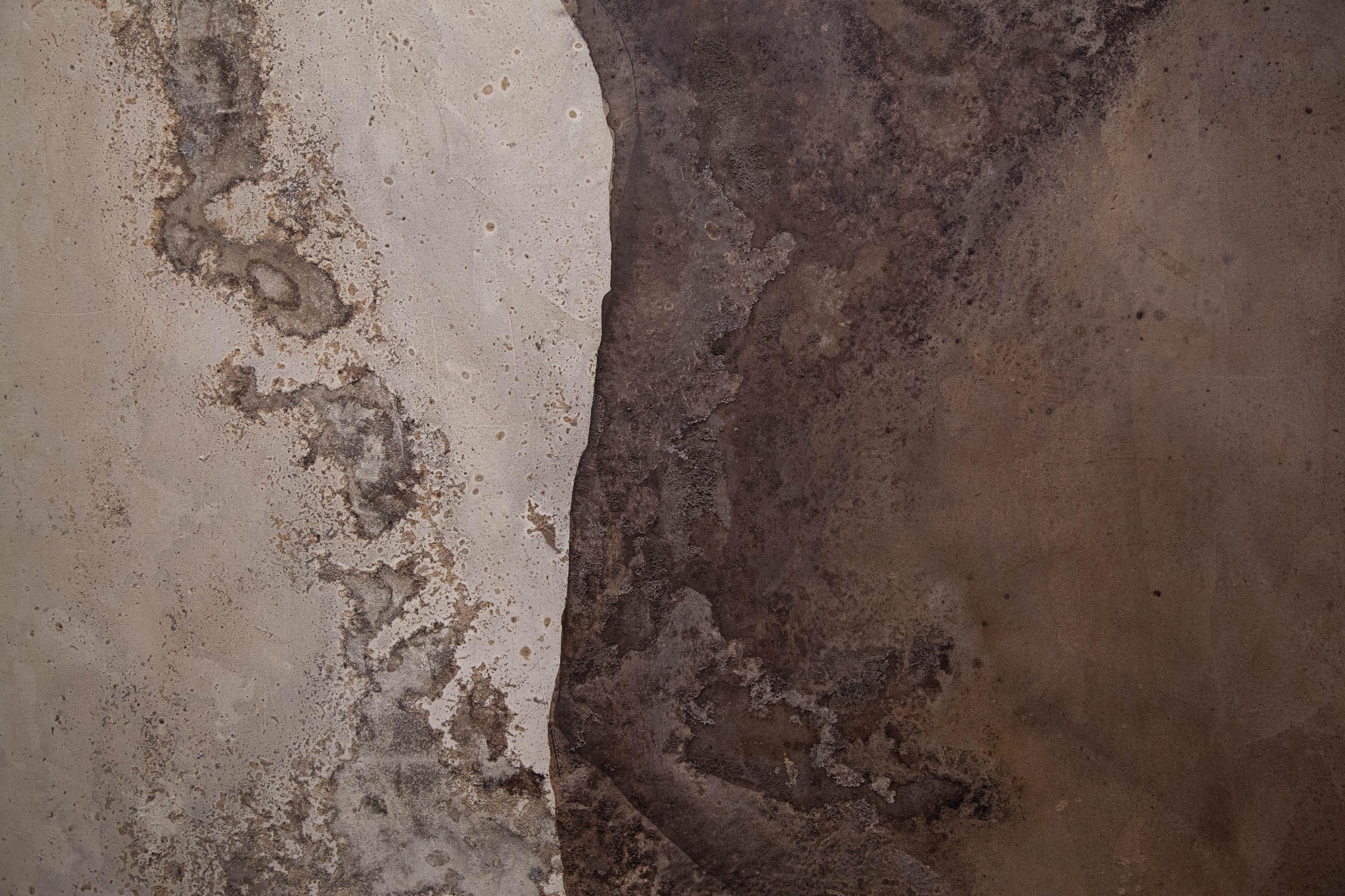 ABSTRACT Artista contemporaneo francese Rose Madone Nuova opera d'arte Nature colori della terra in vendita 2