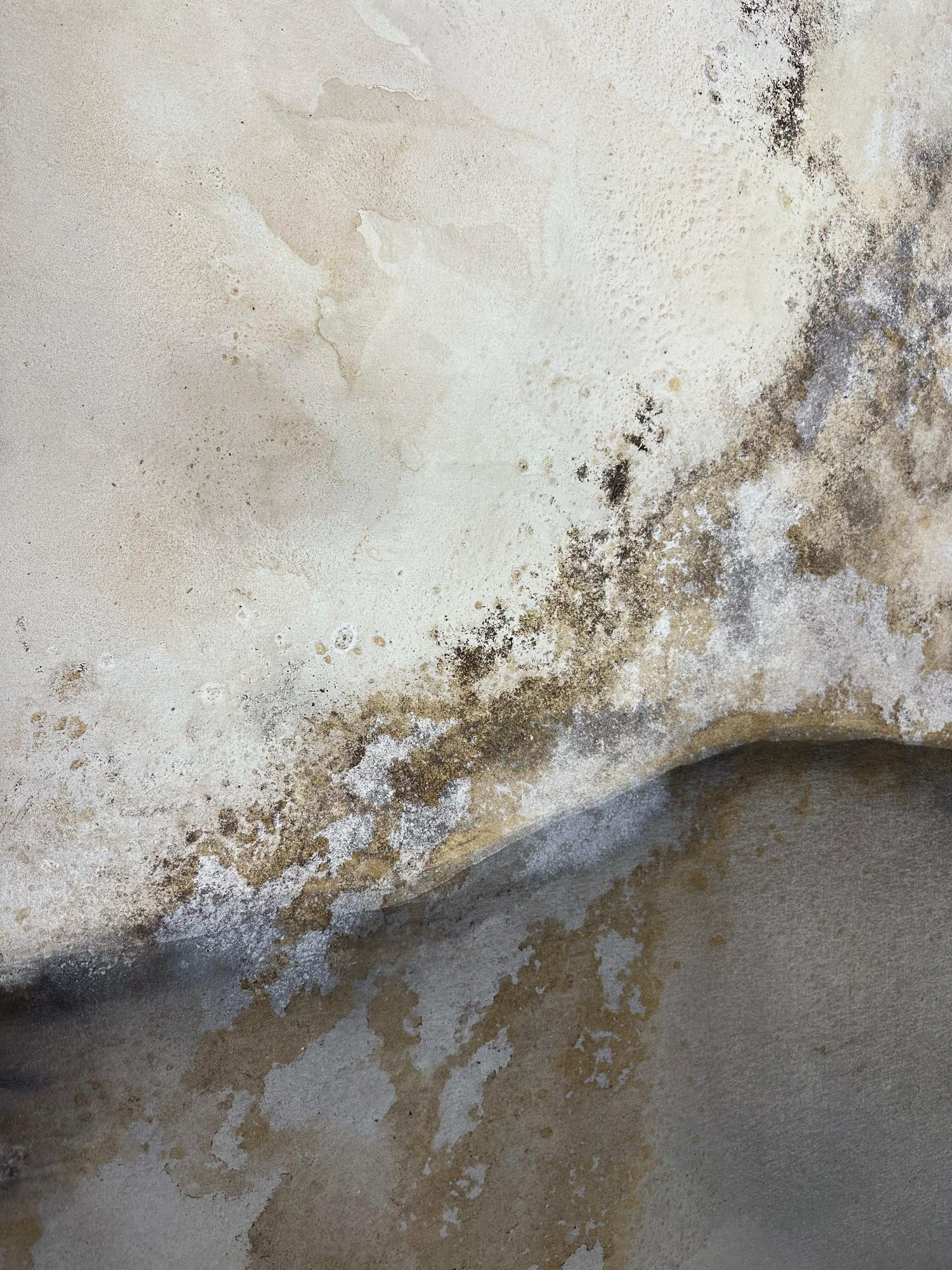 Cuadro Abstracto Paisaje con Tonos Orgánicos de la Tierra by Rose Madone Contemporáneo en venta 1