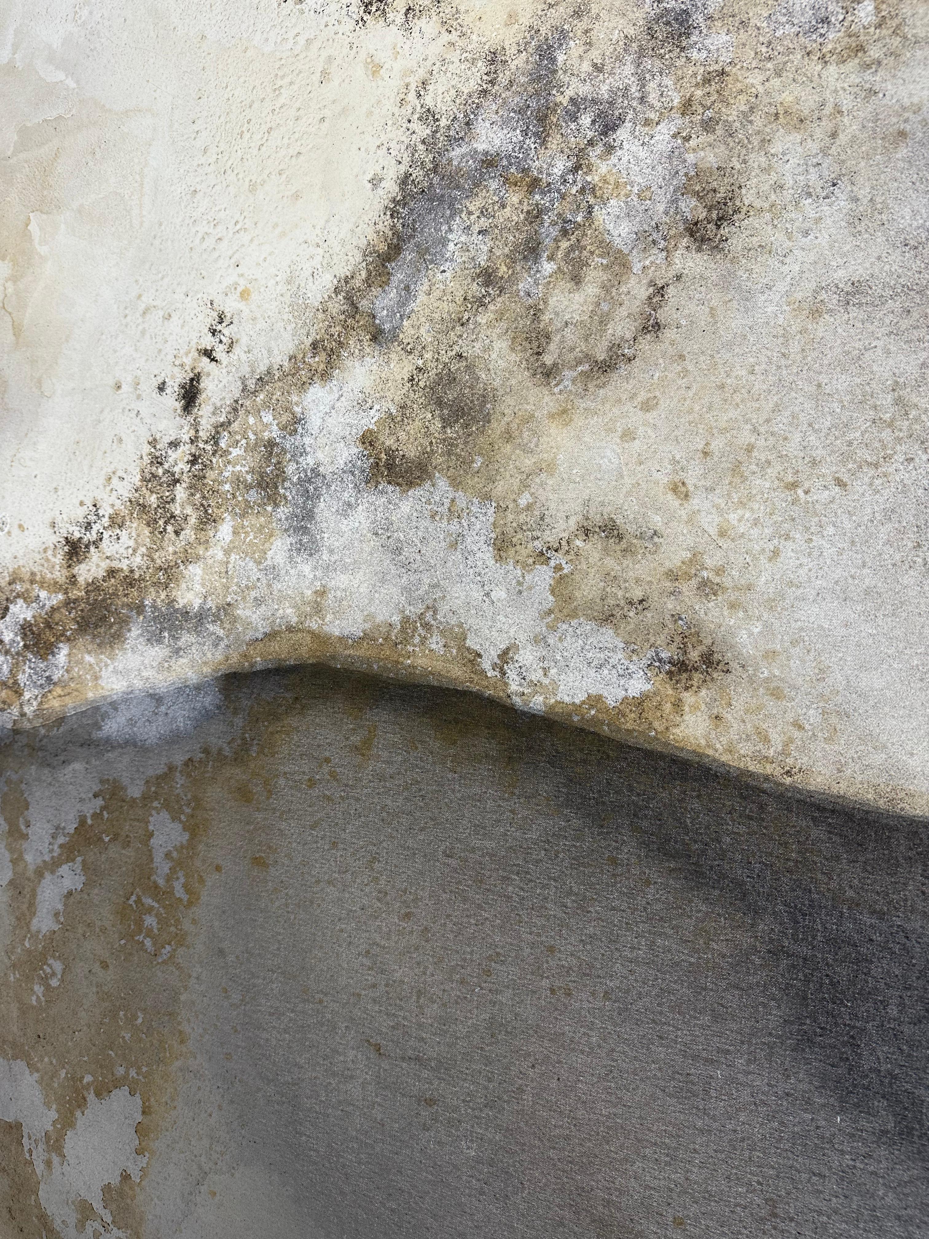 Cuadro Abstracto Paisaje con Tonos Orgánicos de la Tierra by Rose Madone Contemporáneo en venta 2