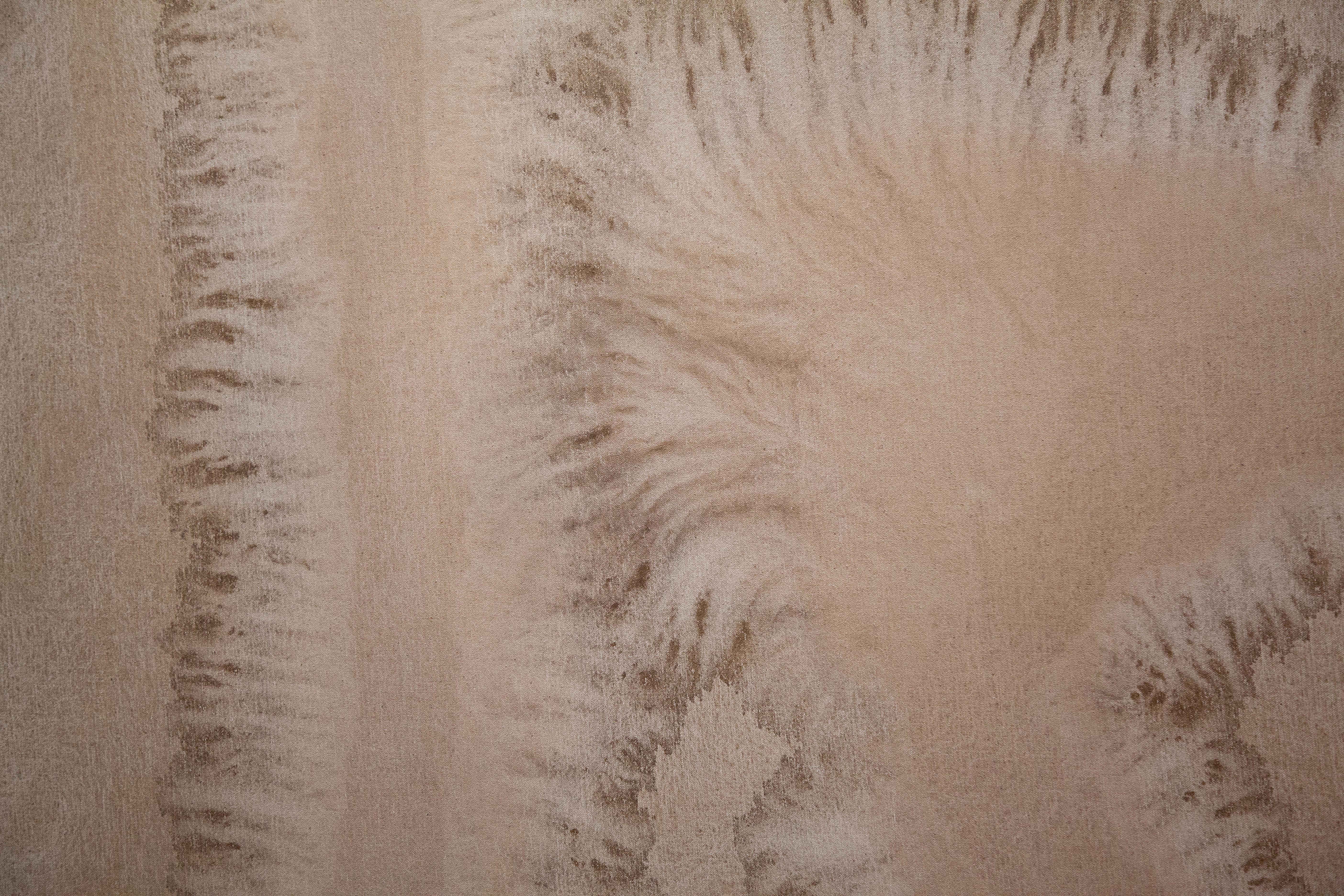 Rose Madone — Large Neutral Abstract Minimal Earth Diptych on Canvas (Set of 2) For Sale 3