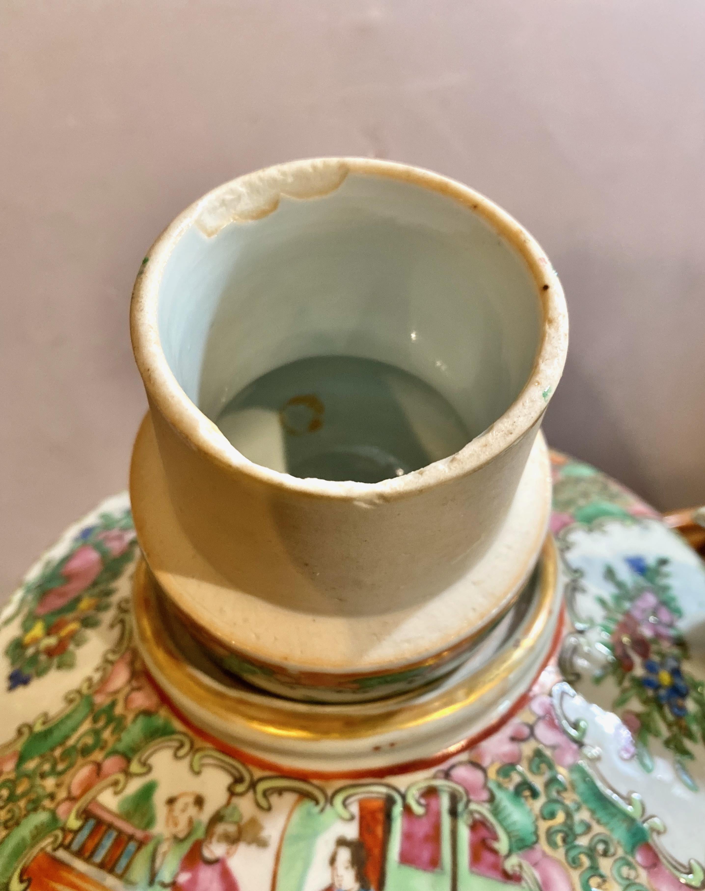 Rose Medallion Teapot, 19th Century 6