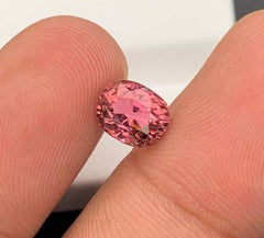 Rose Pink Turmalin Edelstein: Natürlicher Oktober-Geburtsstein, Afrika (3,12 CT)