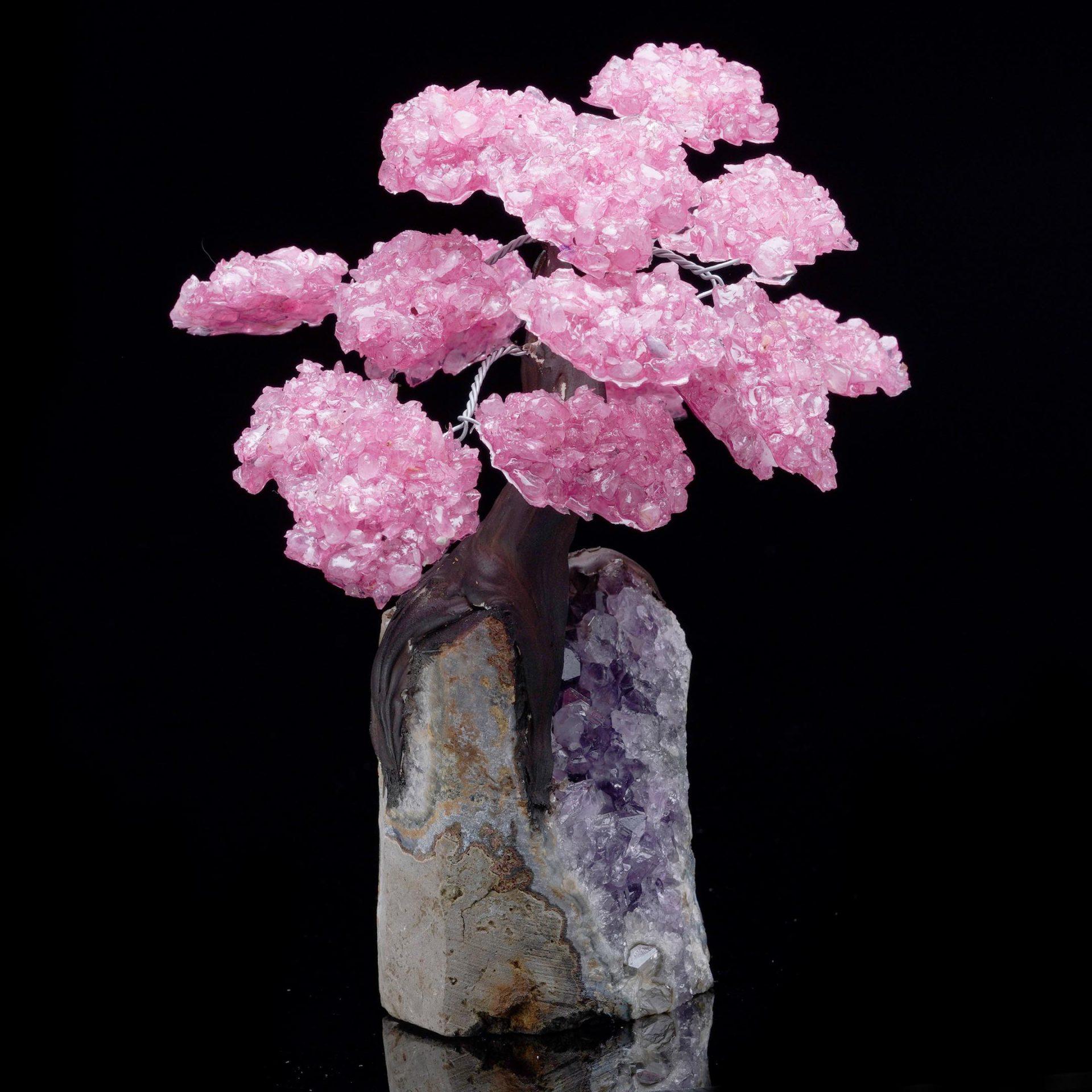 Brazilian Rose Quartz Gem Tree on Amethyst Cluster Base For Sale