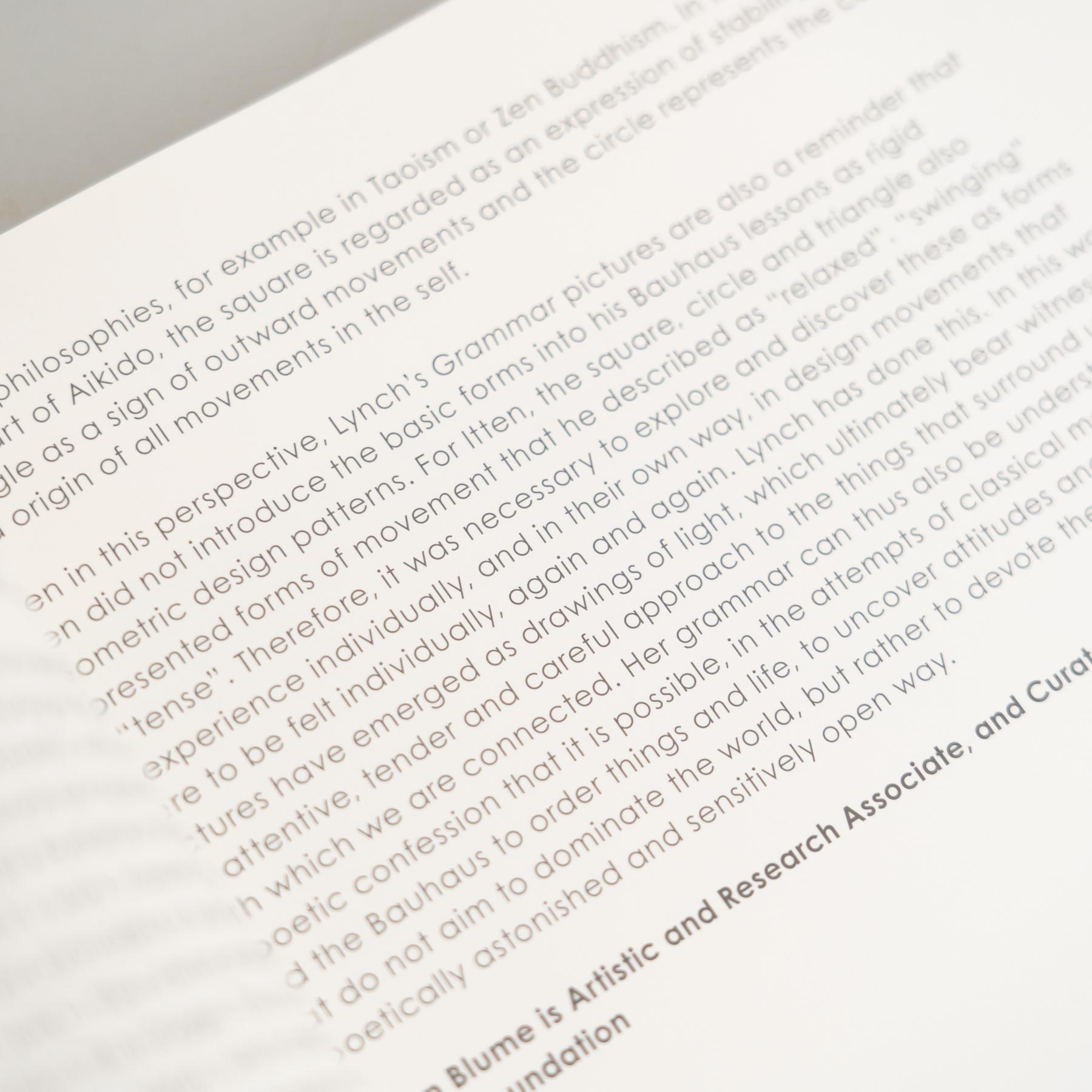 Roseanne Lynch – Photography and the Bauhaus For Sale 2
