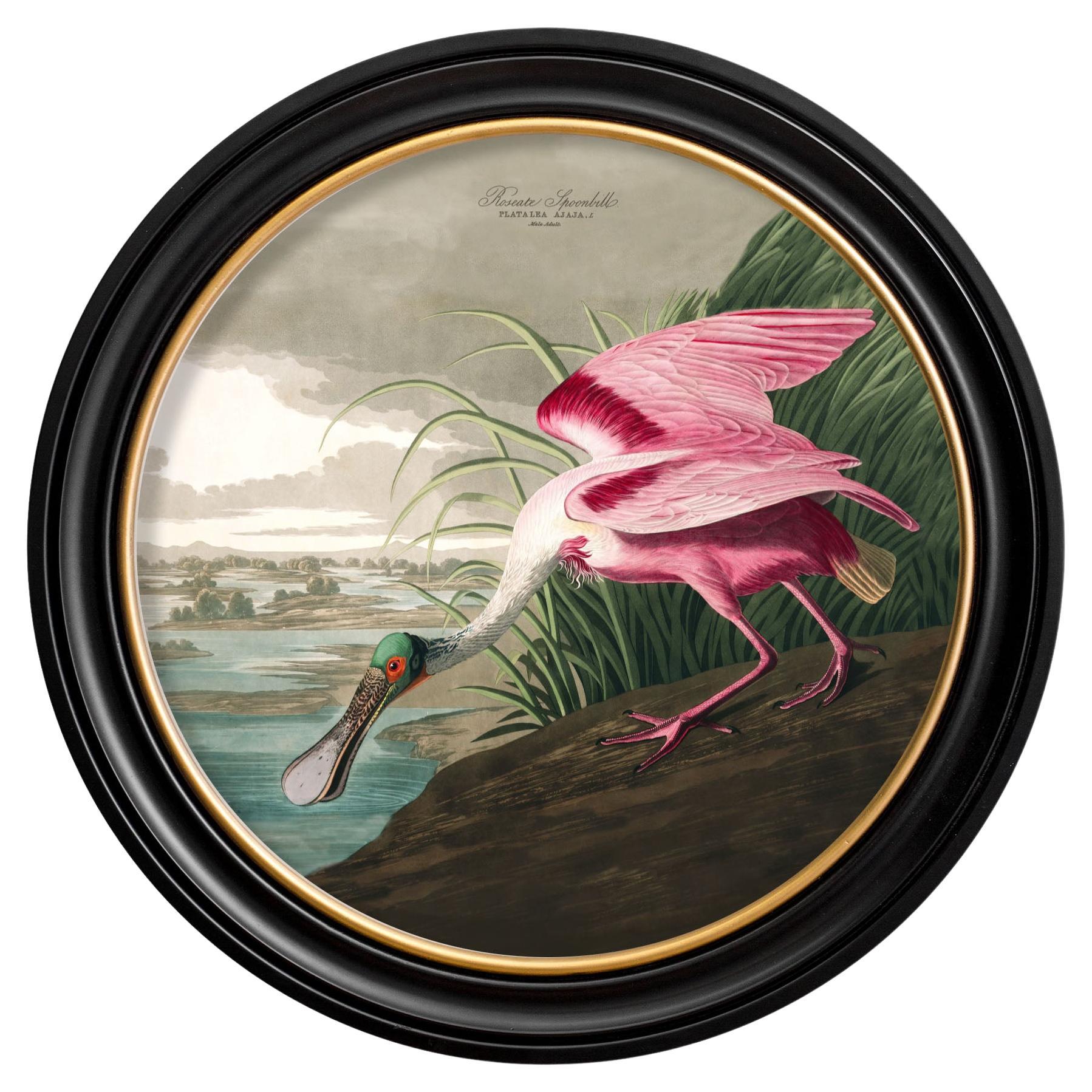 What does limewash paint do?