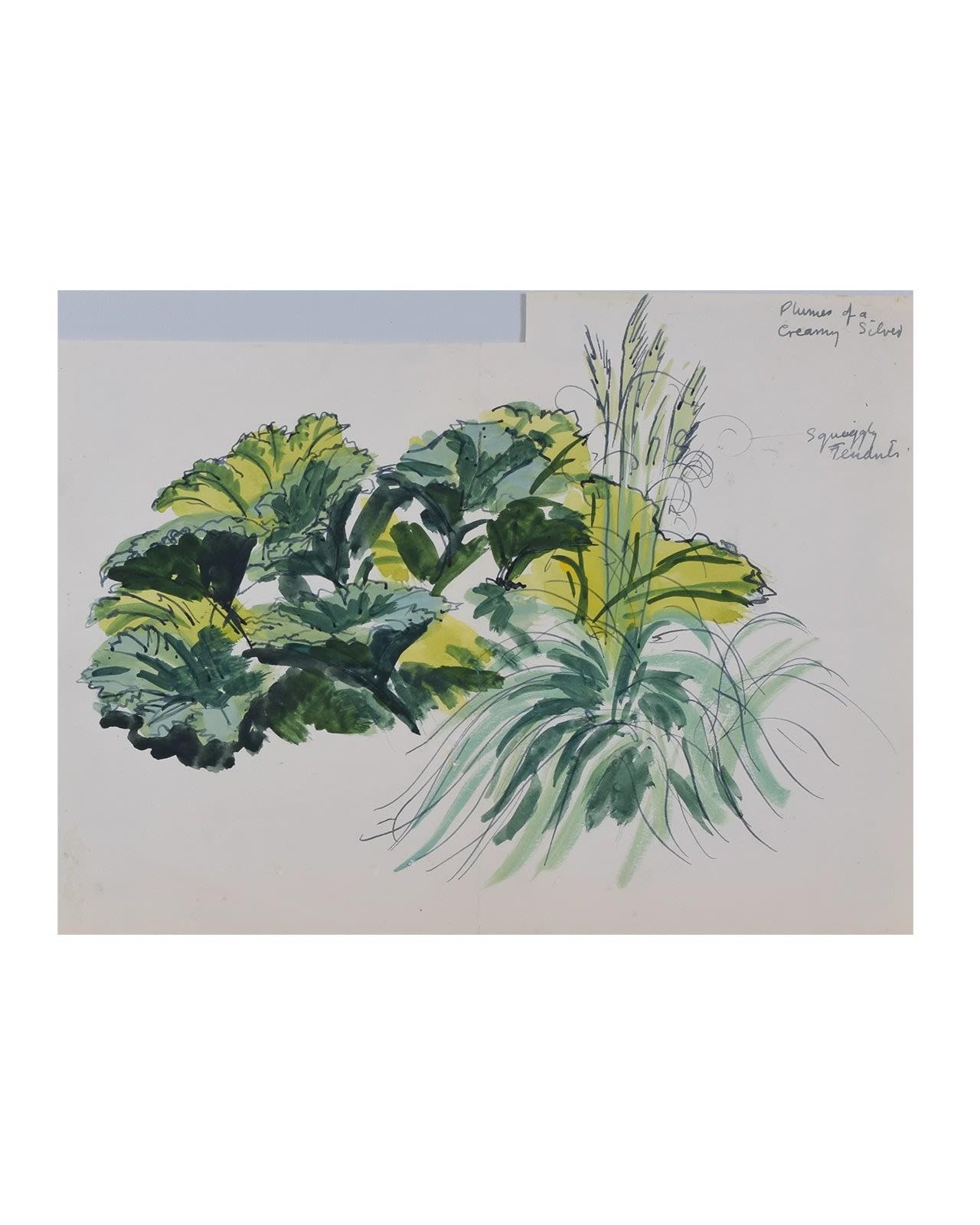 Acquerello su carta
H38,5 x L47,5 cm (dimensioni della cornice)