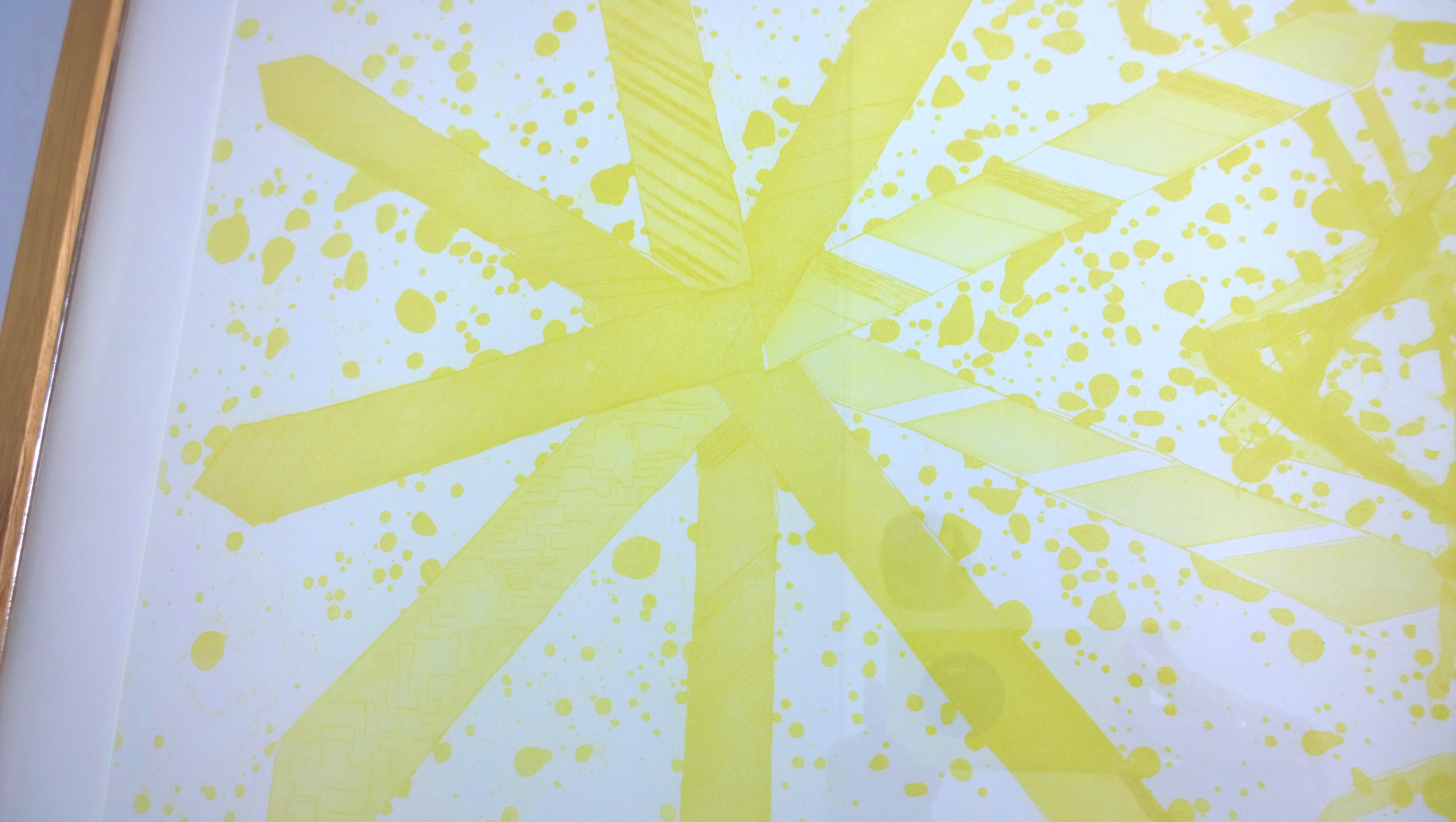 Rosenquist, More Points on a Bachelor's Tie Yellow Aquatint Photo-Etching, 1978 For Sale 6