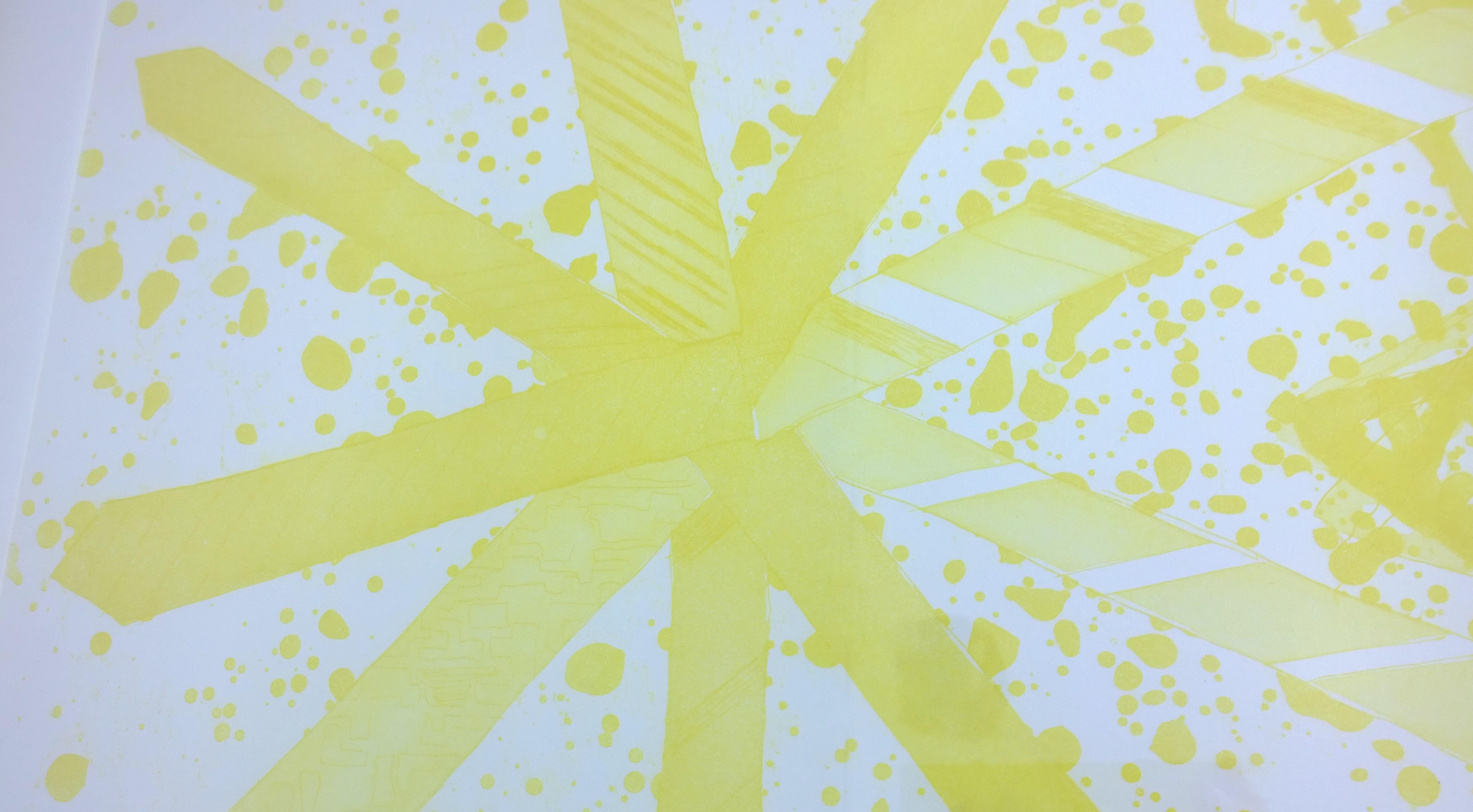 Rosenquist, More Points on a Bachelor's Tie Yellow Aquatint Photo-Etching, 1978 For Sale 4