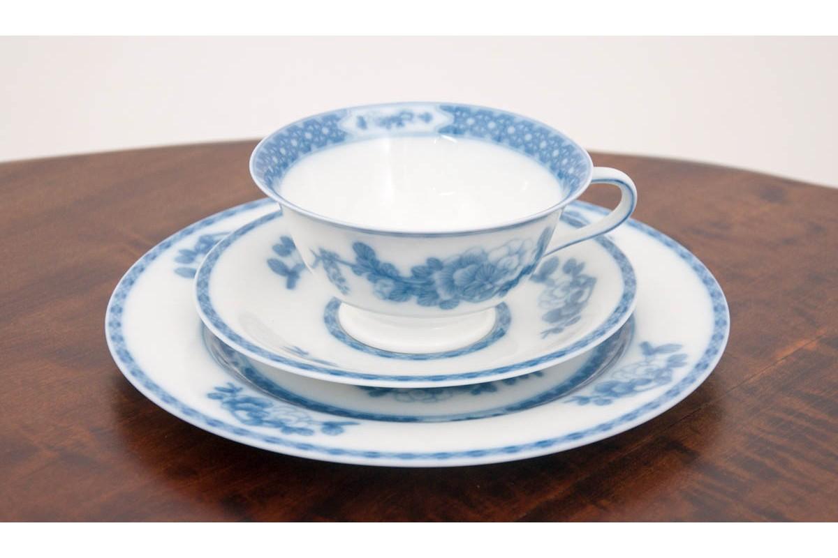 ROSENTHAL china MONACCO white 1675 pattern CUP SAUCER Set 