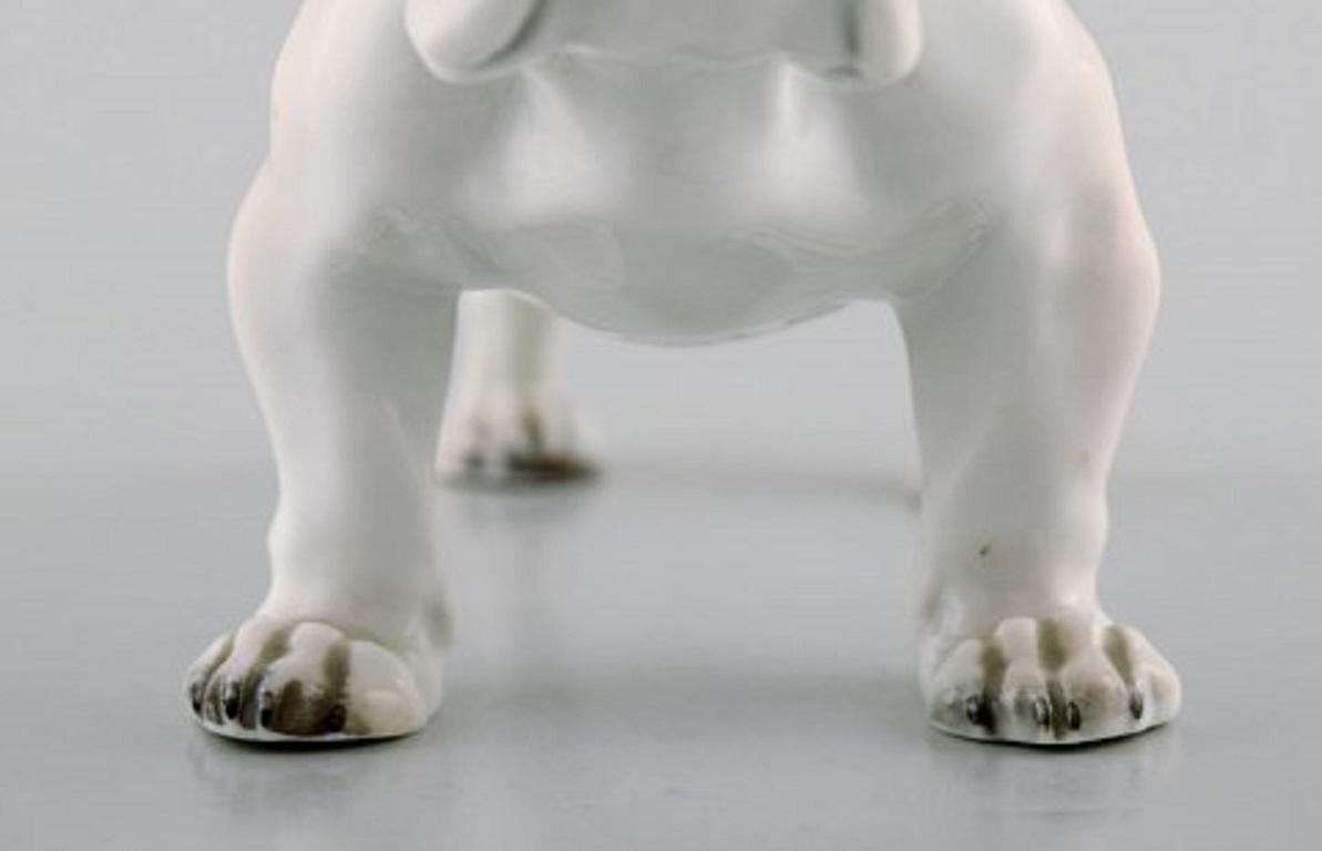 Mid-20th Century Rosenthal English Bulldog in Hand Painted Porcelain, 1950s