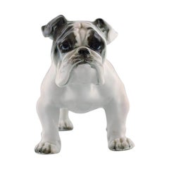 Rosenthal English Bulldog in Hand Painted Porcelain, 1950s
