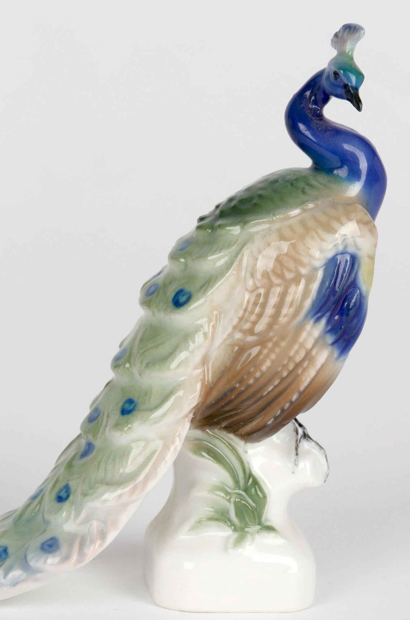 A very fine mid-century German porcelain figure of a peacock on a perch made by Rosenthal and dating from 1955. The peacock stands raised on a small square shaped base molded with a wooden on which the bird is perched. The peacock is very finely