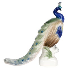 Rosenthal German Mid-Century Porcelain Figure of a Peacock