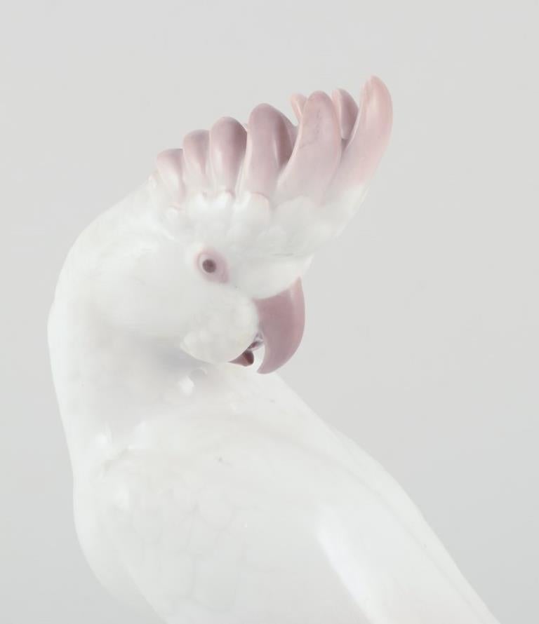 Rosenthal, Alemania.
Cacatúa de porcelana. Estilo Art Déco.
Model No: K654
Citas: Ca. 1930s.
Sellado.
En perfecto estado.
Dimensiones: Alto 25,0 cm. x Ancho 15,0 cm.