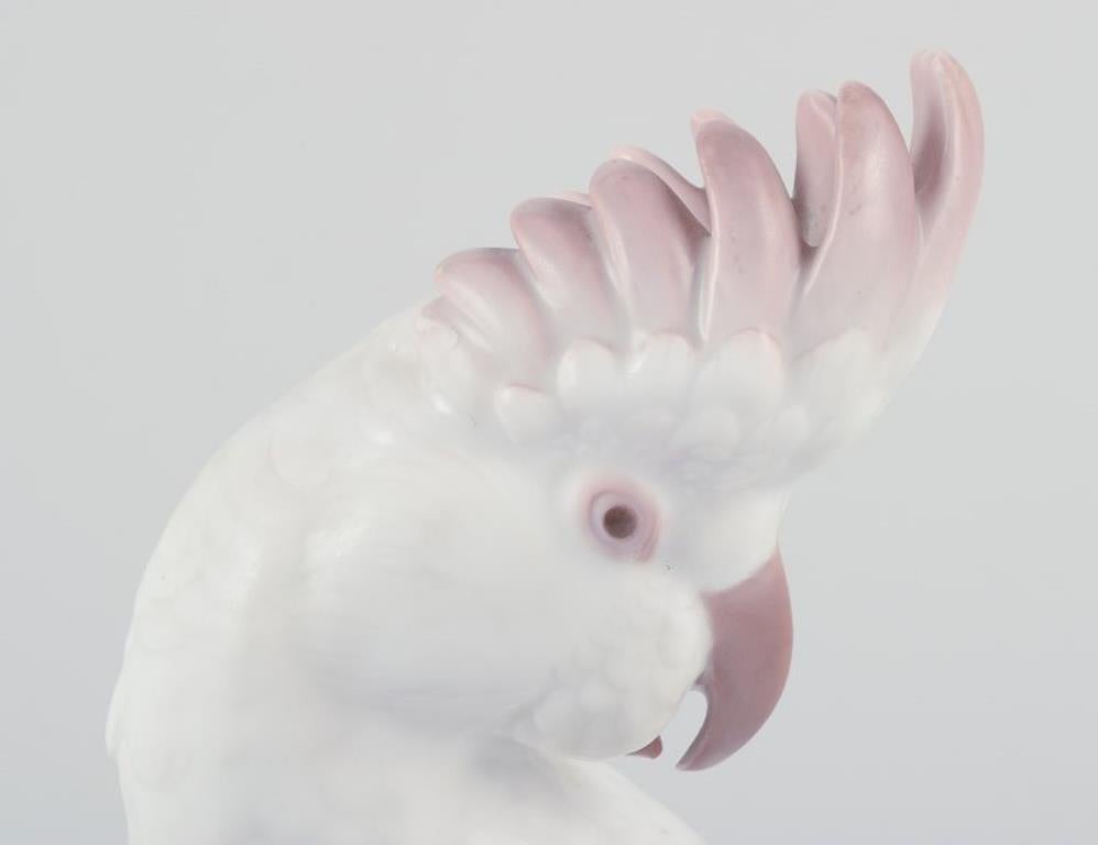 Rosenthal, Alemania. Cacatúa de porcelana. Estilo Art Déco. Glaseado en venta