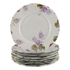 Antique Rosenthal, Germany, Eight Iris Dinner Plates in Hand-Painted Porcelain