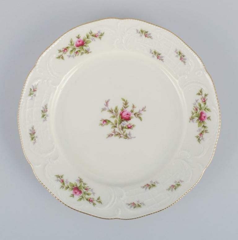 Luxus Rosenthal Geschirr Alt Blumen Bilder