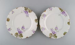 Douze assiettes à dîner Iris en porcelaine peinte à la main, Rosenthal, Allemagne