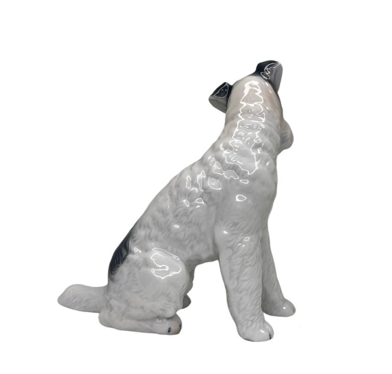 Garçon à bicyclette mécanique avec chien