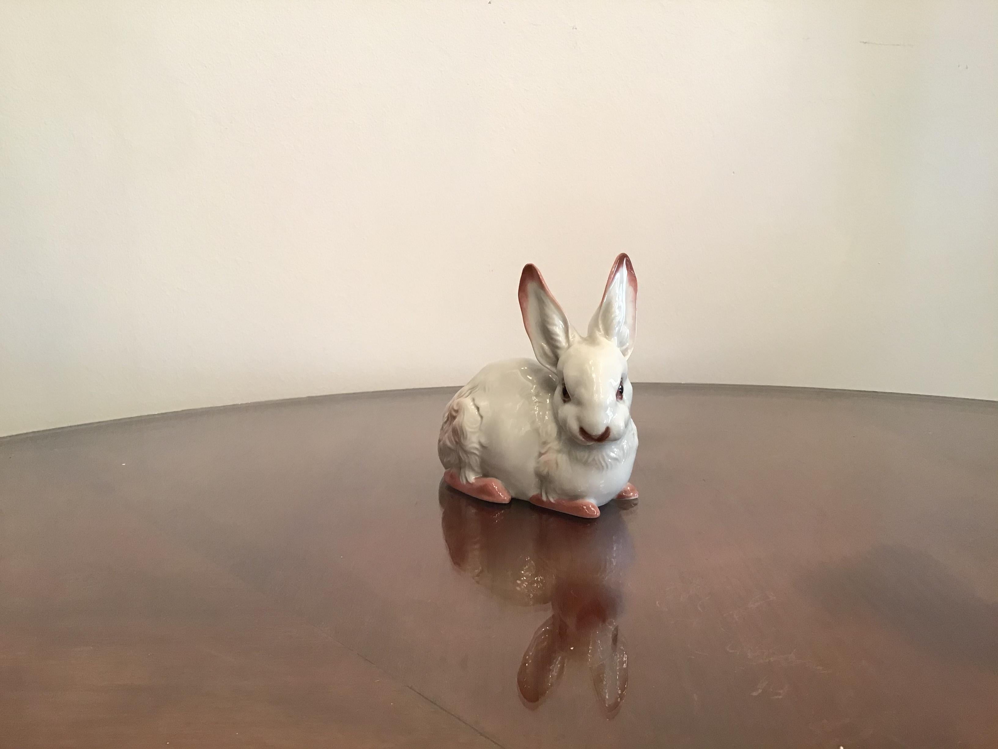 Rosenthal Porcelain Rabbit 1960 Germany  4