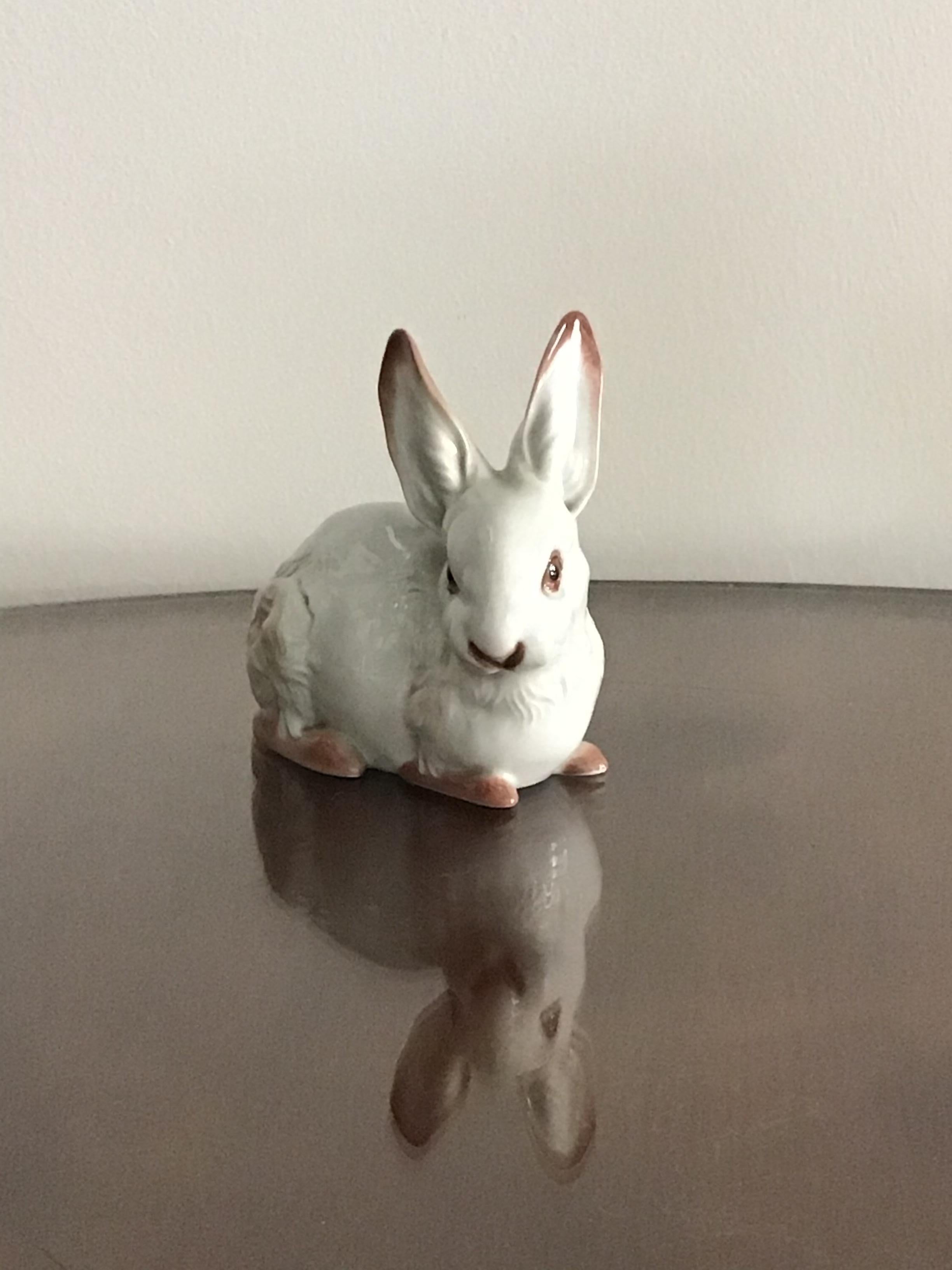 Other Rosenthal Porcelain Rabbit 1960 Germany 