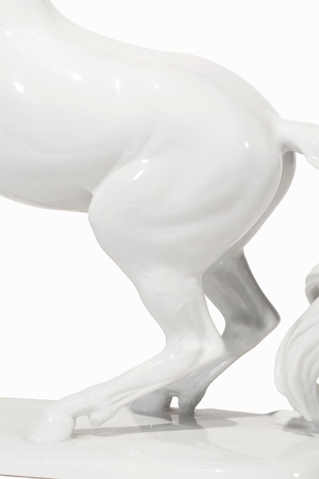 Diese wunderschöne Porzellanskulptur von Rosenthal Porzellan stellt ein sich aufbäumendes Pferd dar, das vom Bildhauer Hugo Meisel detailgetreu modelliert wurde. Diese Pferdefigur ist auf der Unterseite mit der Signatur des Bildhauers, 