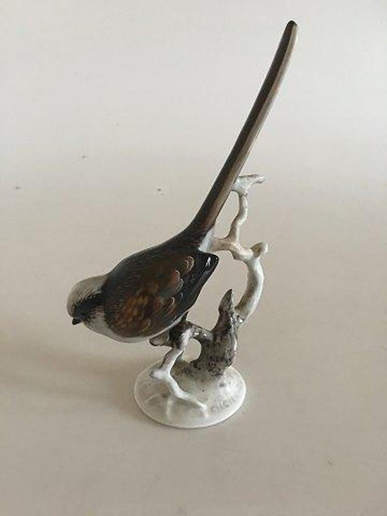 Rosenthal Schwanzmeise on Branch Figurine. Presents itself in good condition, but seems to have a few reparations on the branch part.

Measures: 17 cm H (6 11/16