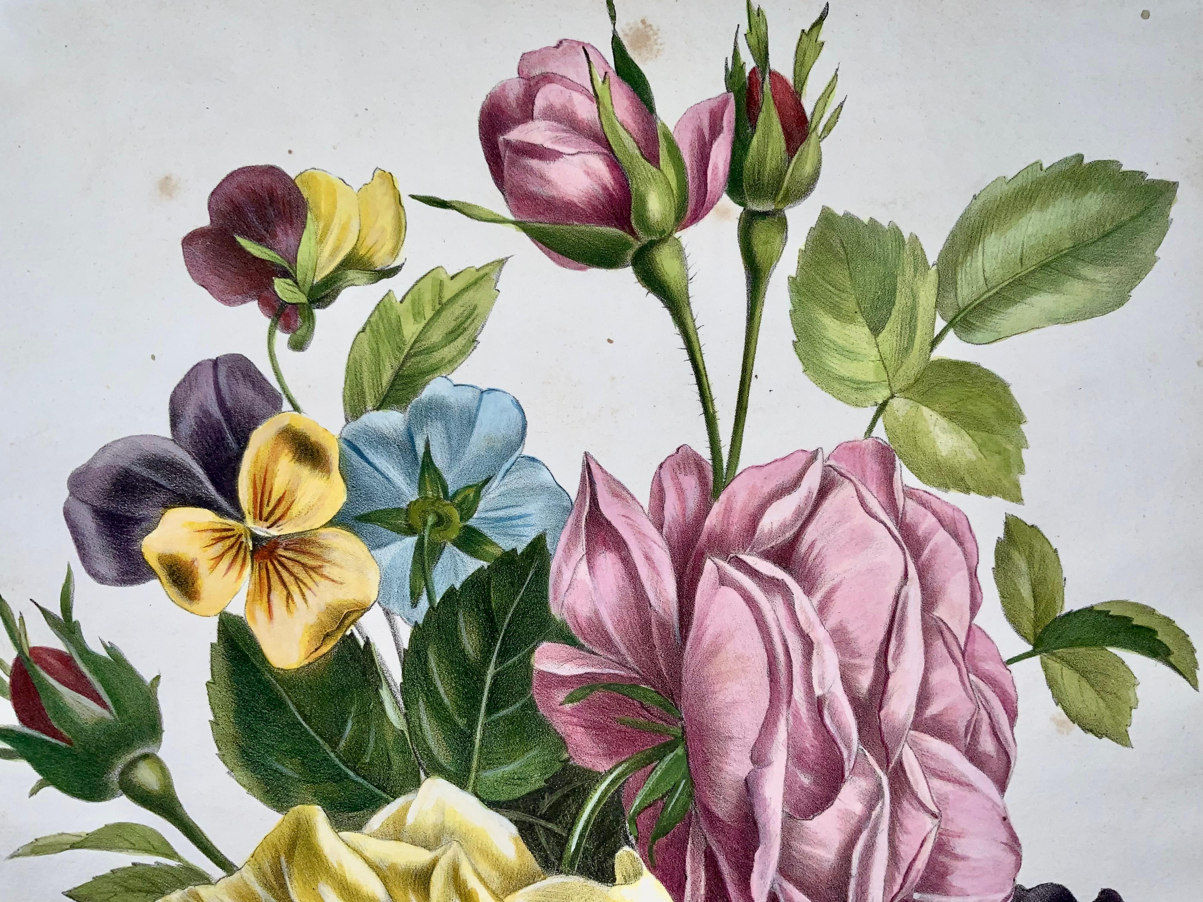Hand-Painted Roses & Pansies, Jullien, Bequet, large stone lithograph hand coloured For Sale