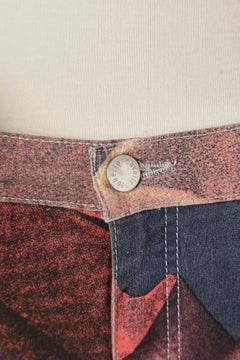 Roses printed jean Roberto Cavalli