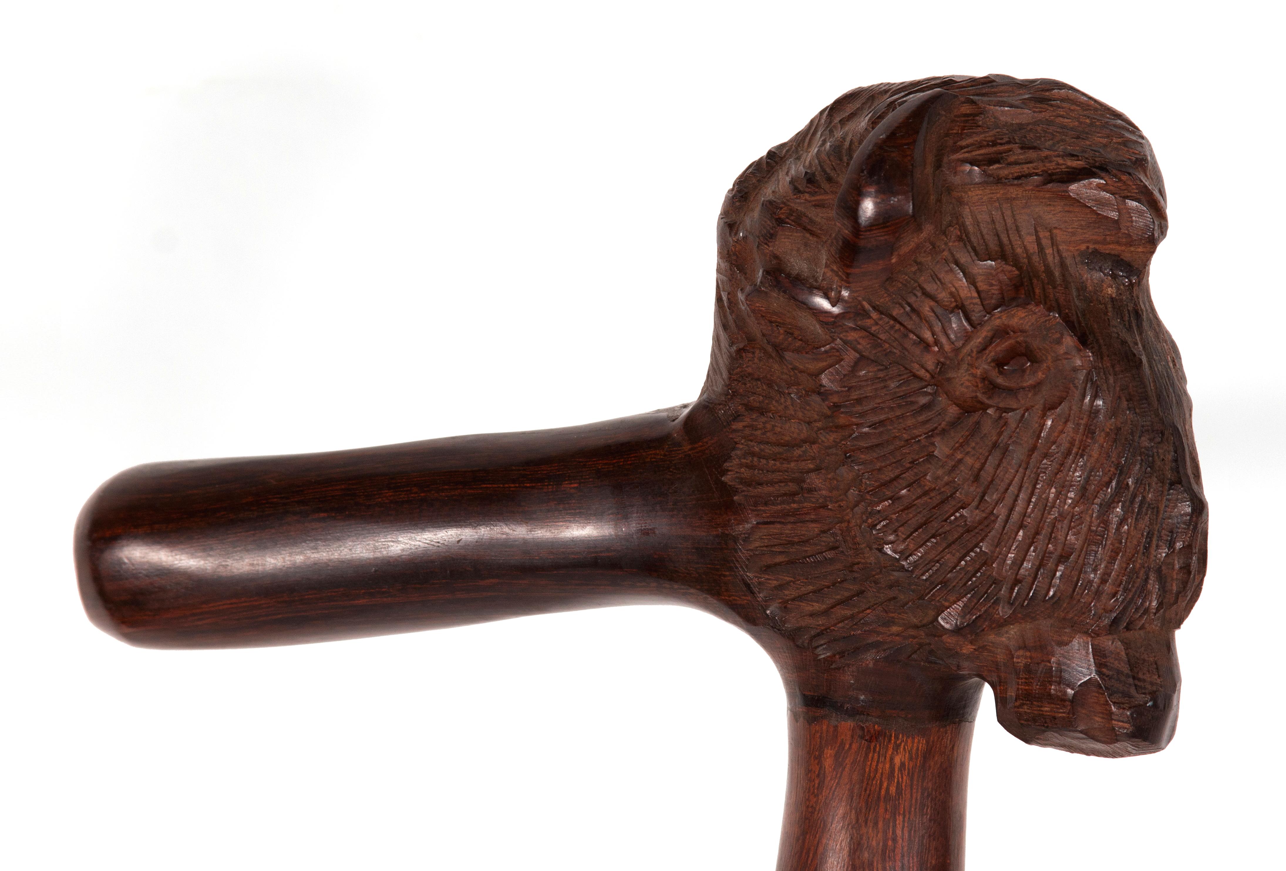 Carved wooden cane, made of rosewood, with a substantially sized head of an American Bison at the knuckle. The great artistic interpretation has wonderful folk qualities. The handle and shaft are expertly polished and the weight is very heavy. The