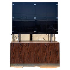 Rosewood Laminated Cabinet with Chrome Accents