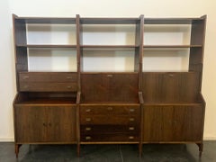 Rosewood Library by Claudio Salocchi for Luigi Sormani, 1950s