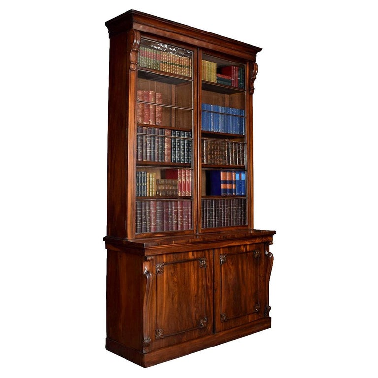Rosewood TwoDoor Library Bookcase For Sale at 1stDibs