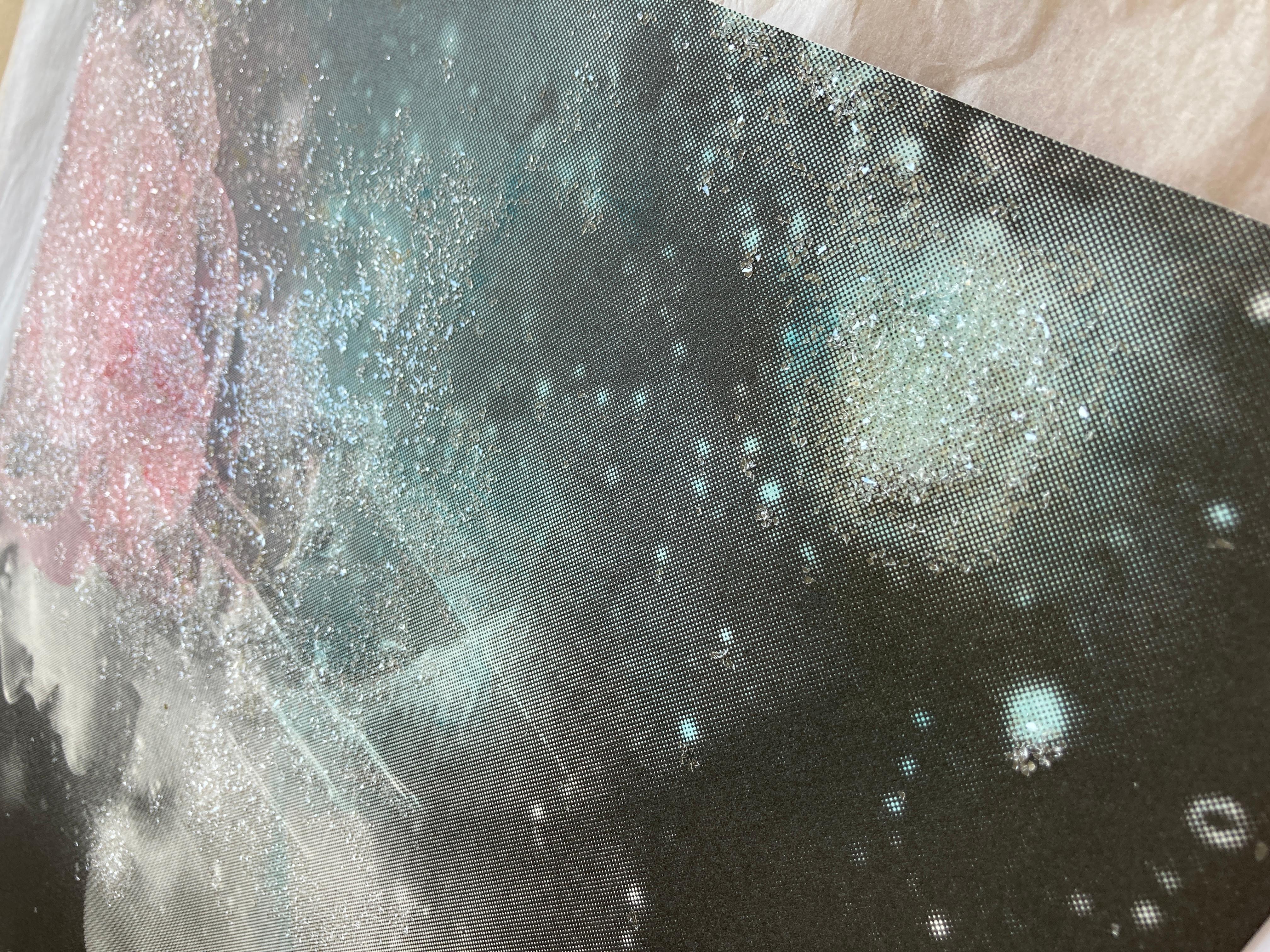 Andromeda, sérigraphie peinte à la main avec poussière de diamants, portrait et fleur rose  - Contemporain Print par Rosie Emerson