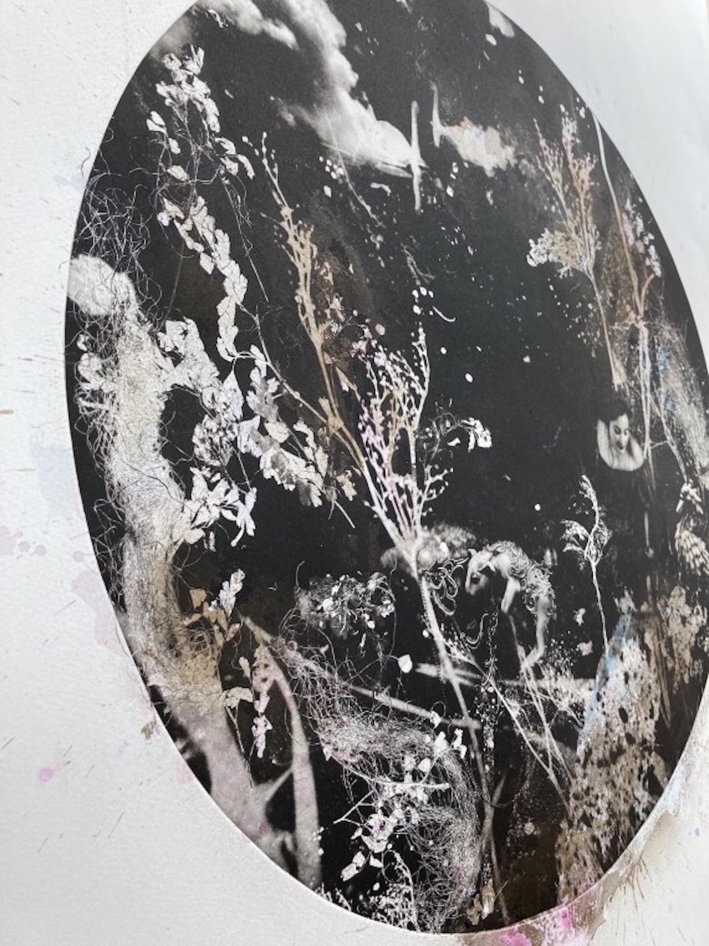 Ebène et les cygnes, Art monochrome, Art noir et blanc, Art abordable, Flora - Noir Print par Rosie Emerson