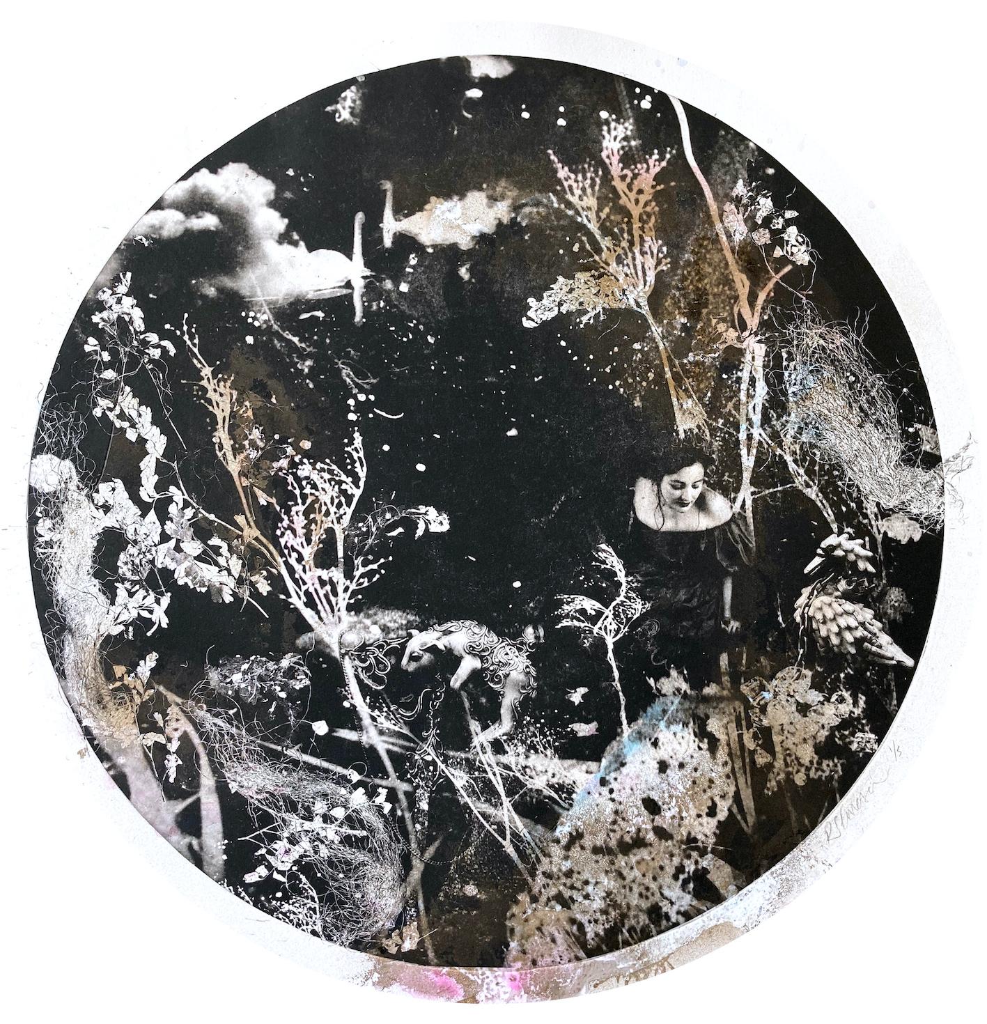 Moon Struck and Ebony and the Swans Diptych - Contemporary Print by Rosie Emerson