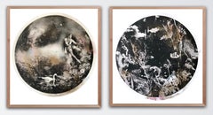 Moon Struck and Ebony and the Swans Diptych