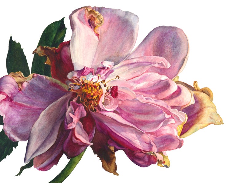 Rosie Sanders A sunset touch 21st Century, Contemporary