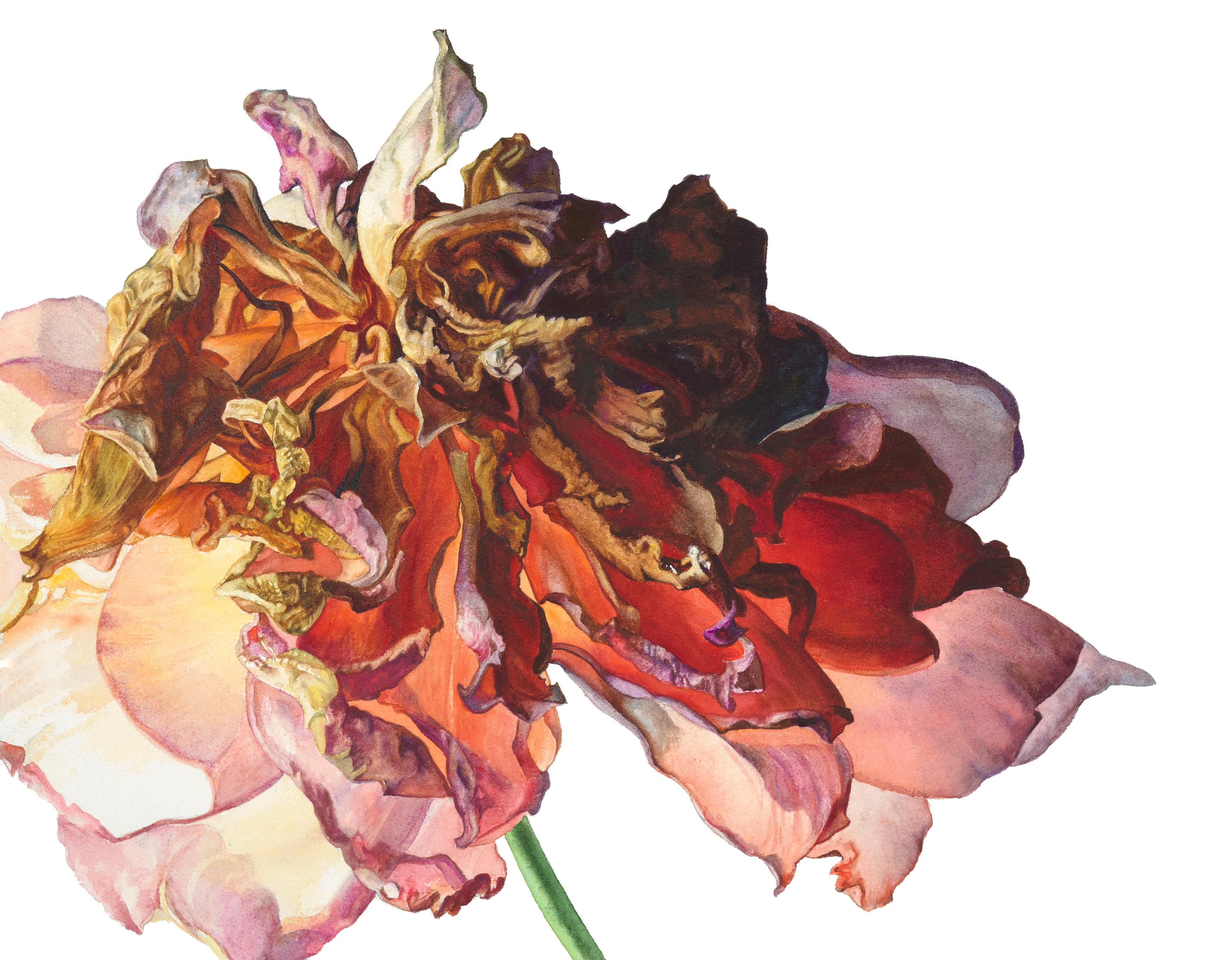 Rosie Sanders Figurative Painting - Traje de gitana- 21st Century, Contemporary, watercolour, botanical art