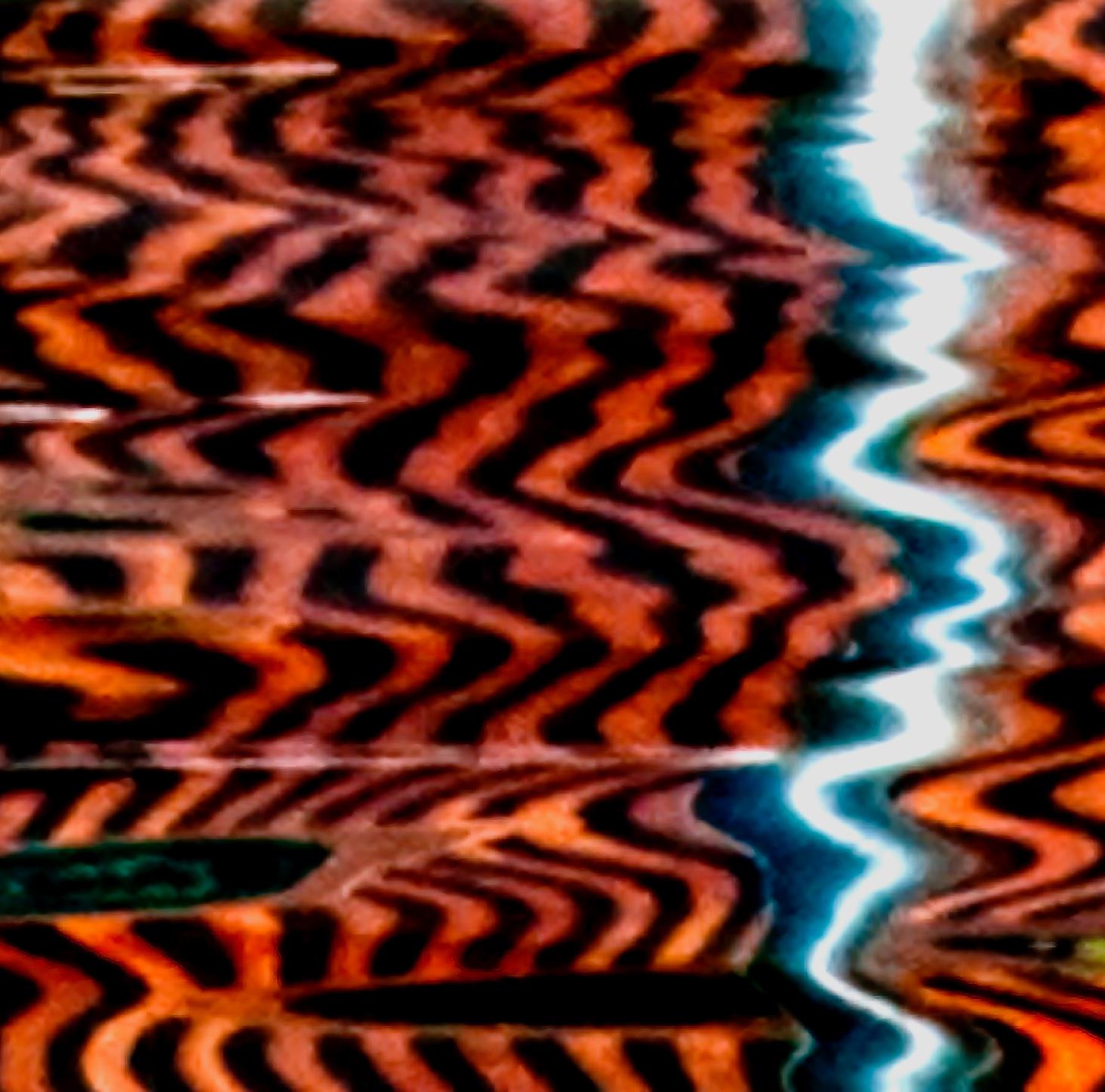 Tiger IV : nature photography - Abstract Photograph by Roslyn Meyer